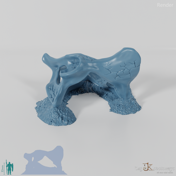 Dragon skeleton - hip bones