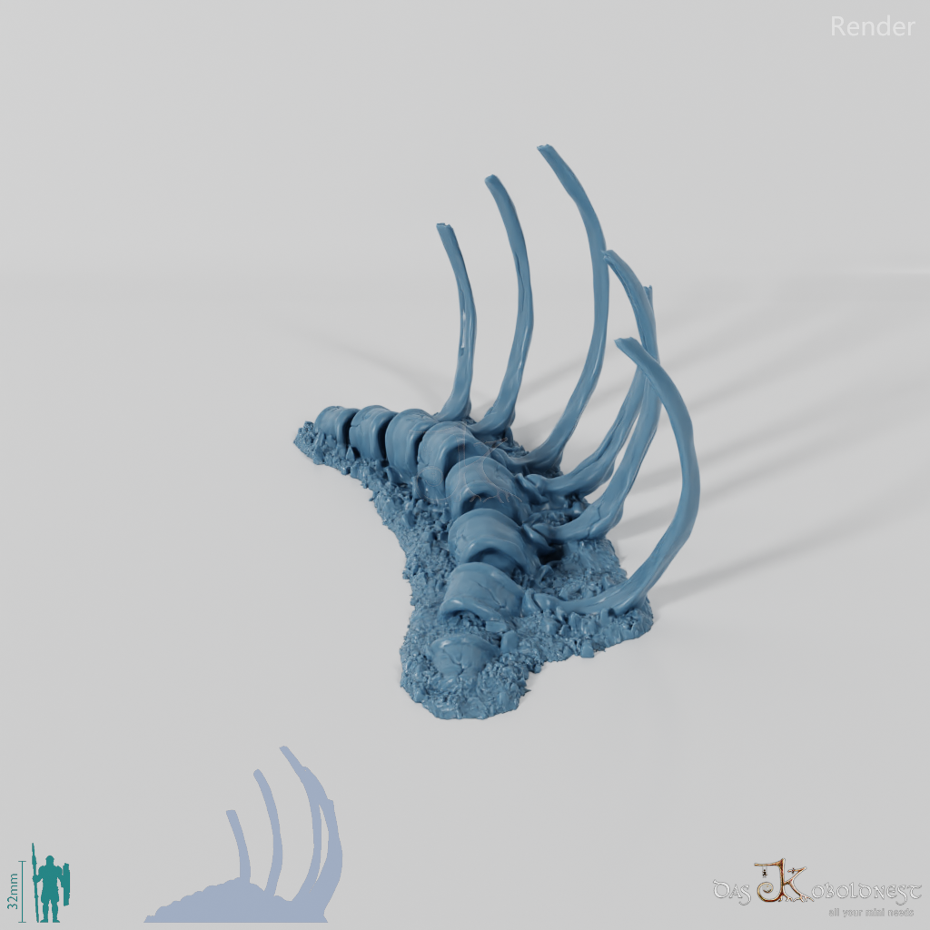 Dragon skeleton - ribs – Koboldnest