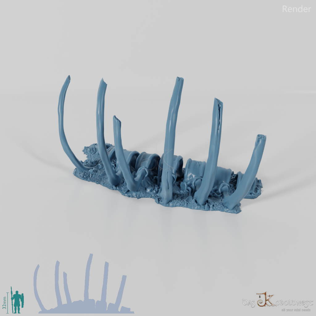 Dragon skeleton - ribs – Koboldnest