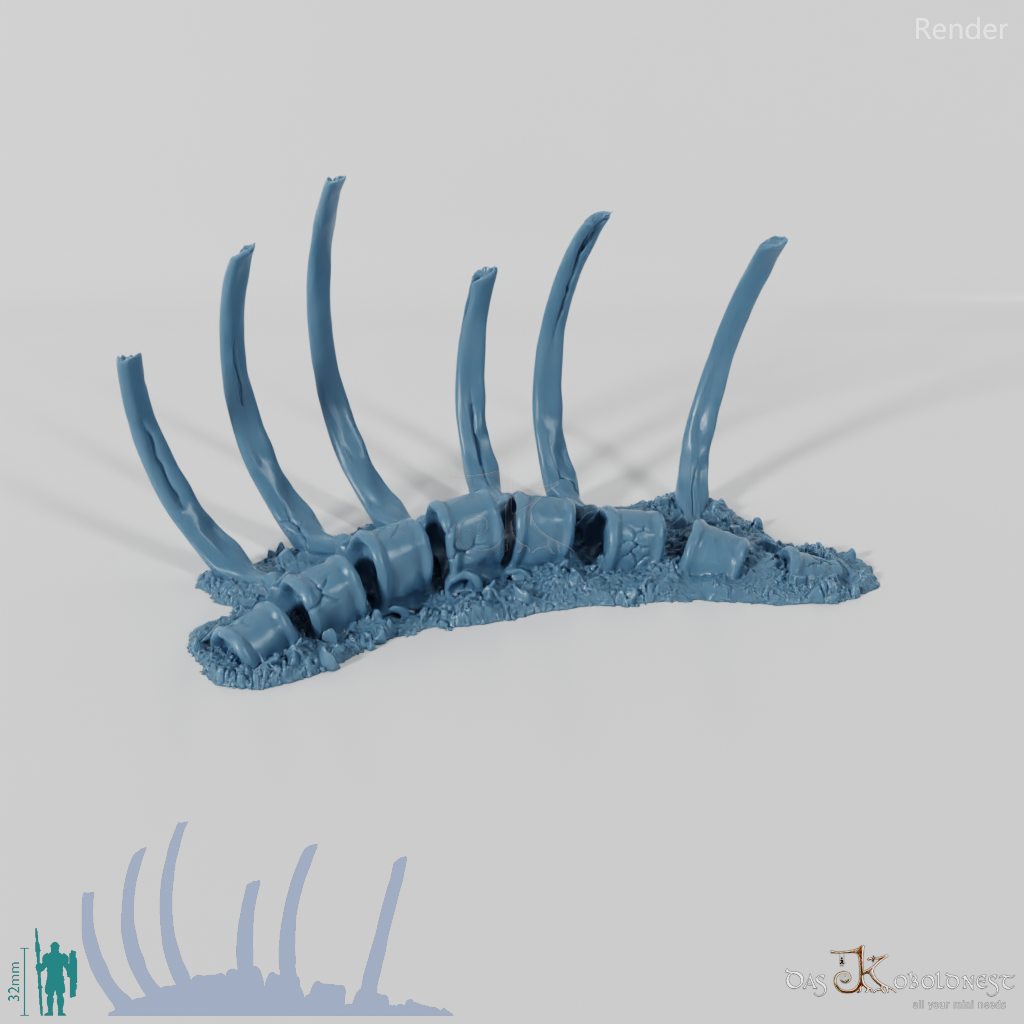 Dragon skeleton - ribs – Koboldnest
