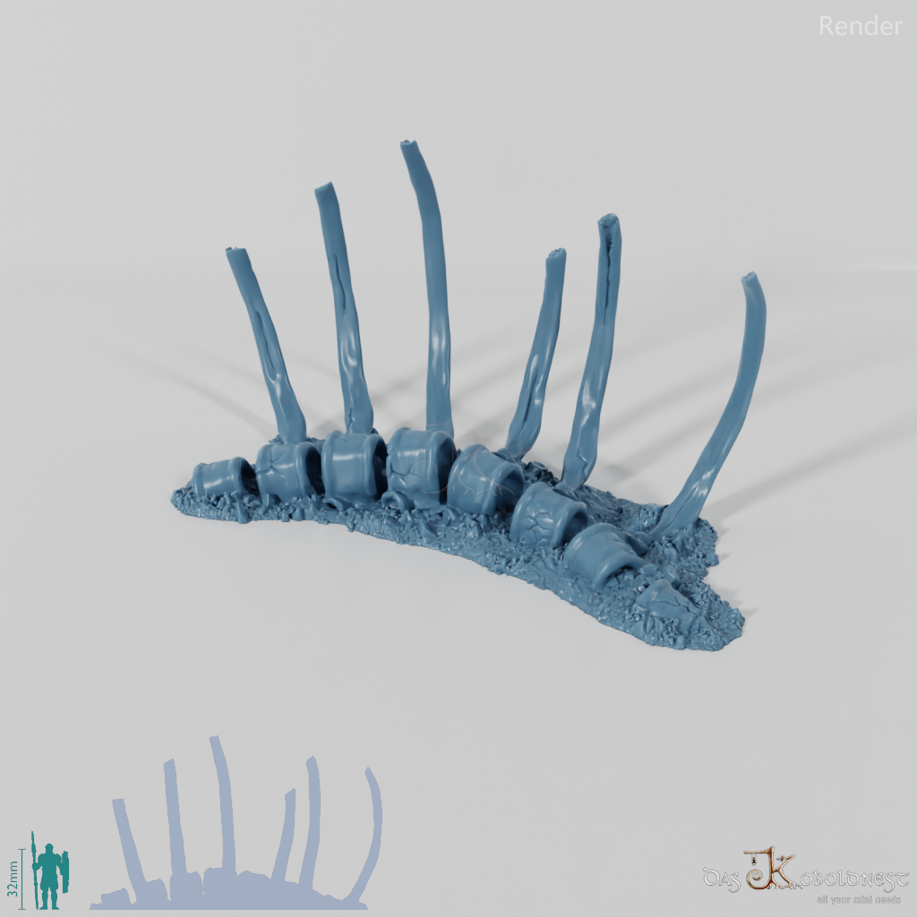 Dragon skeleton - ribs – Koboldnest
