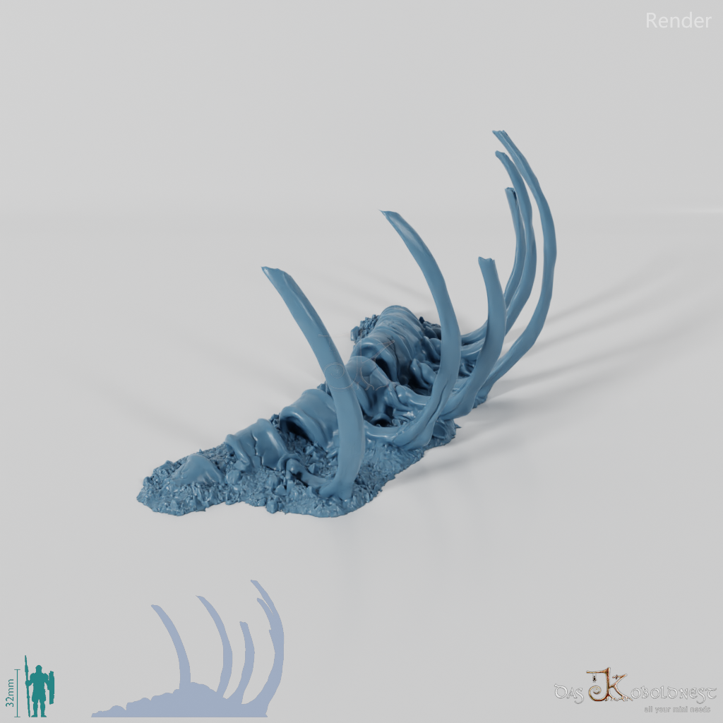 Dragon skeleton - ribs – Koboldnest