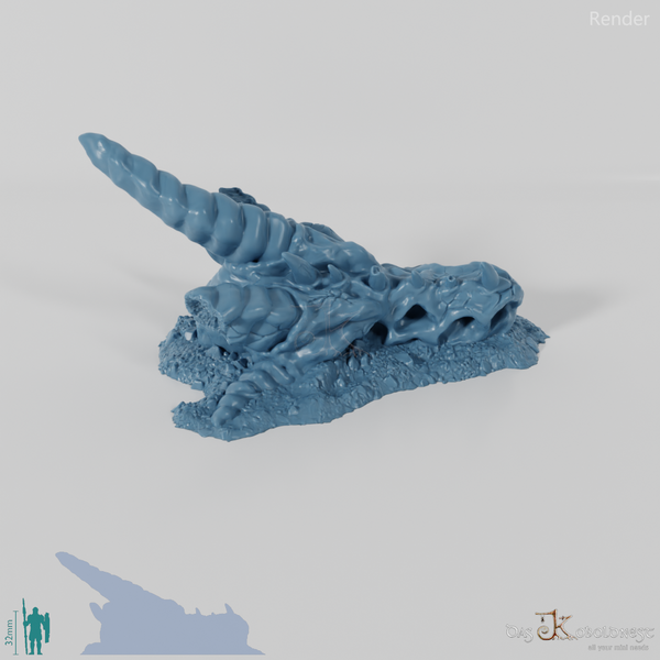 Dragon Skeleton - Skull A