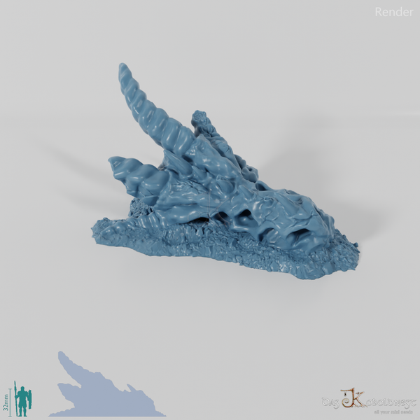 Dragon Skeleton - Skull A