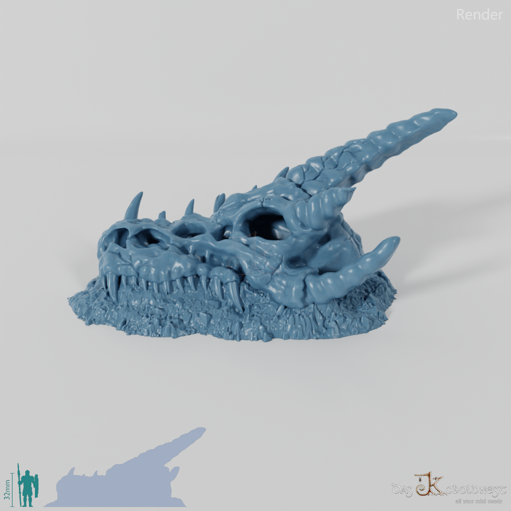 Dragon Skeleton - Skull A