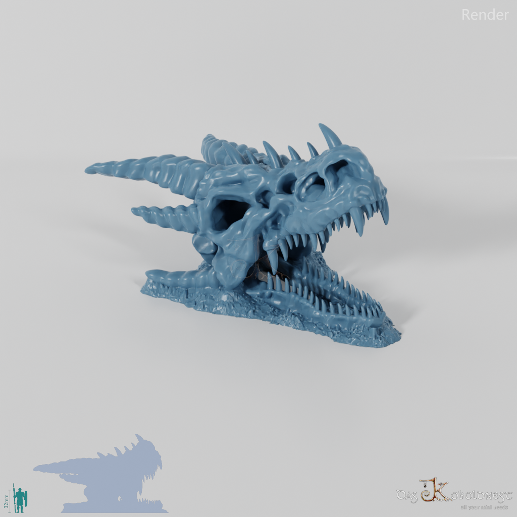 Dragon Skeleton - Skull B