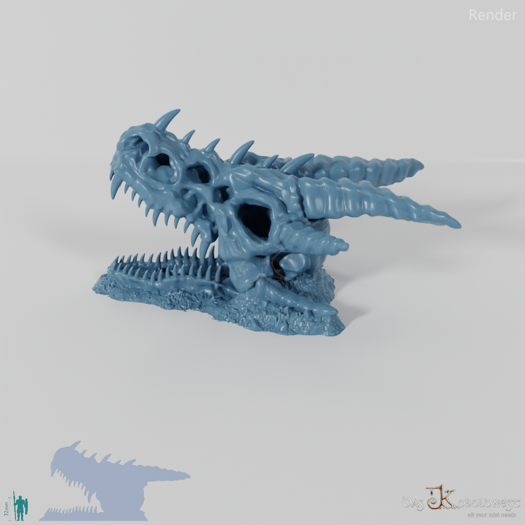 Dragon Skeleton - Skull B