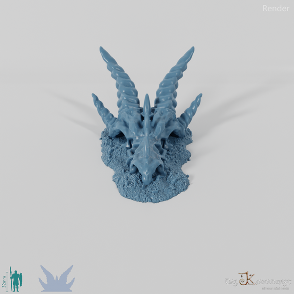 Dragon Skeleton - Skull, Small