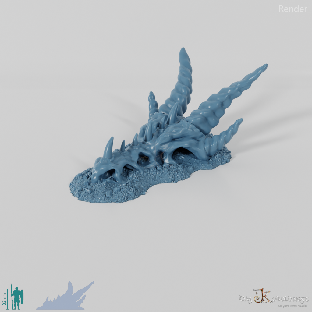 Dragon Skeleton - Skull, Small