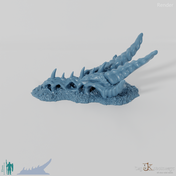 Dragon Skeleton - Skull, Small