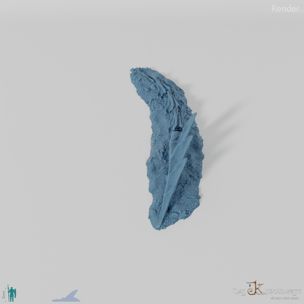 Dragon skeleton - tail vertebrae