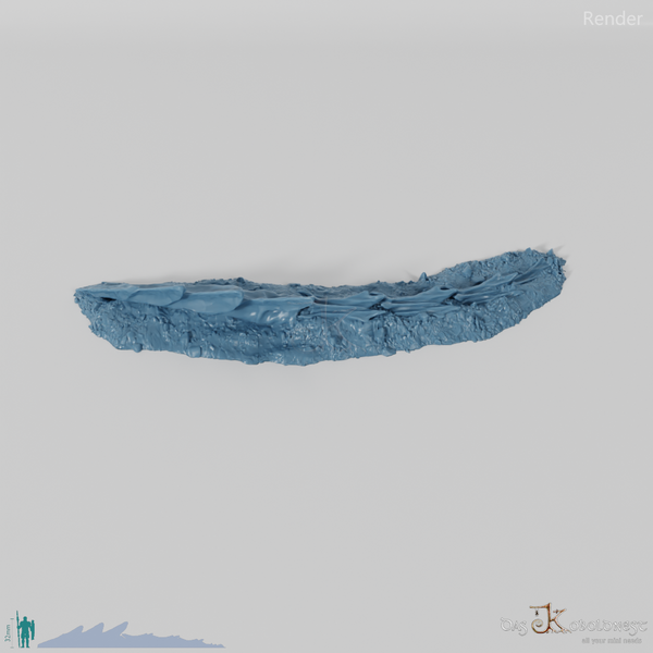 Dragon skeleton - tail vertebrae