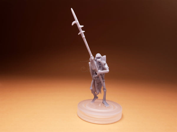 Draugr Infantrymen (Set of 8)