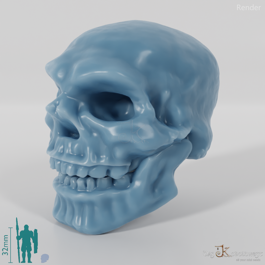 Skull - Dwarven Skull A