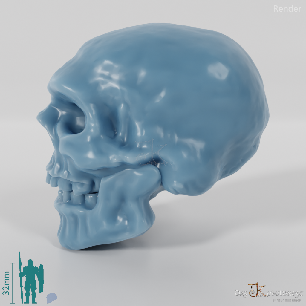 Skull - Dwarven Skull A