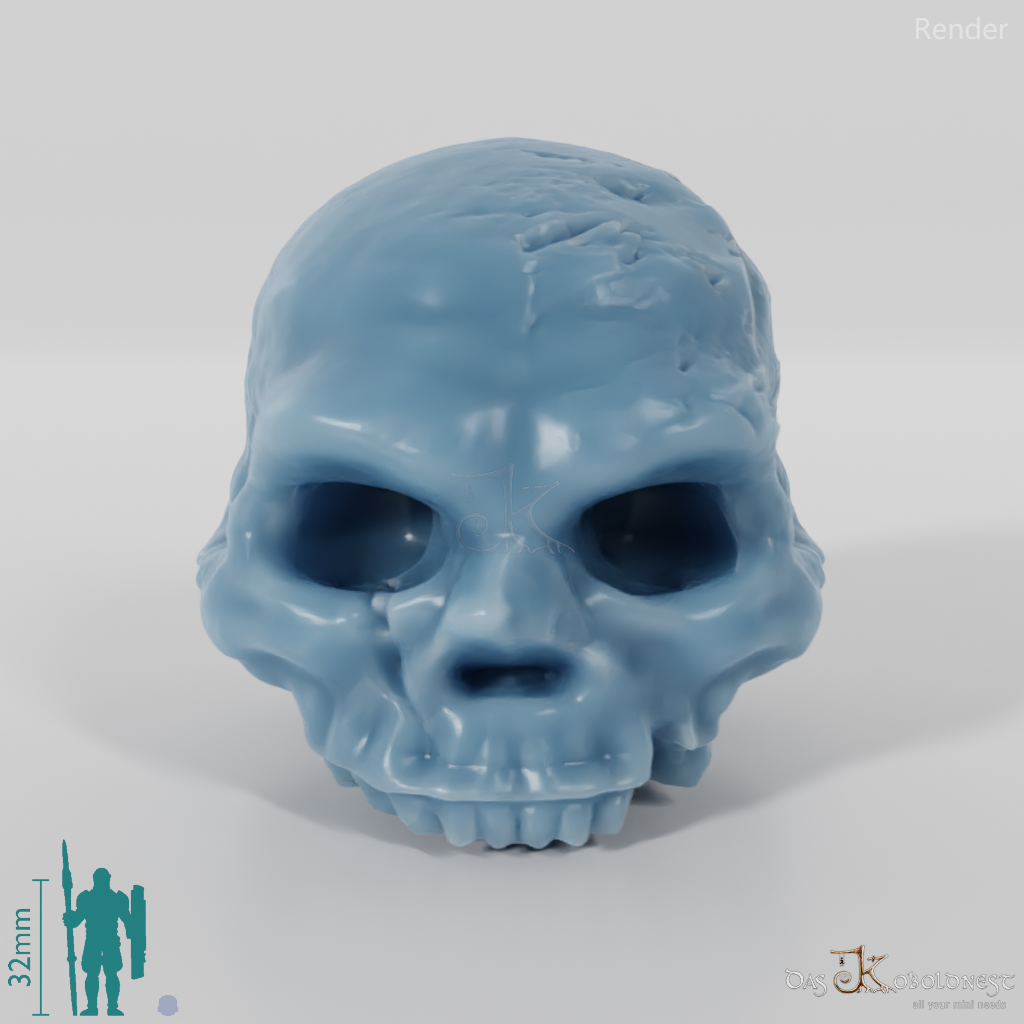 Skull - Dwarven Skull B