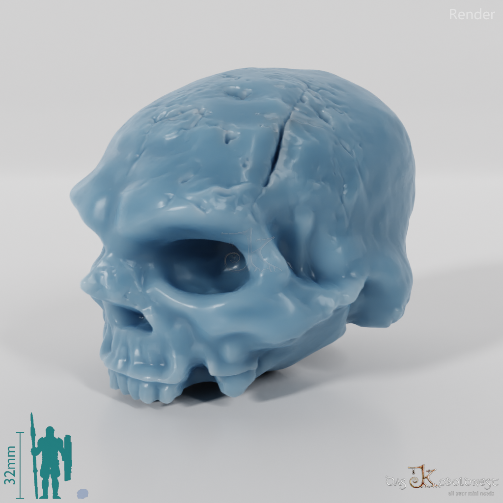 Skull - Dwarven Skull B