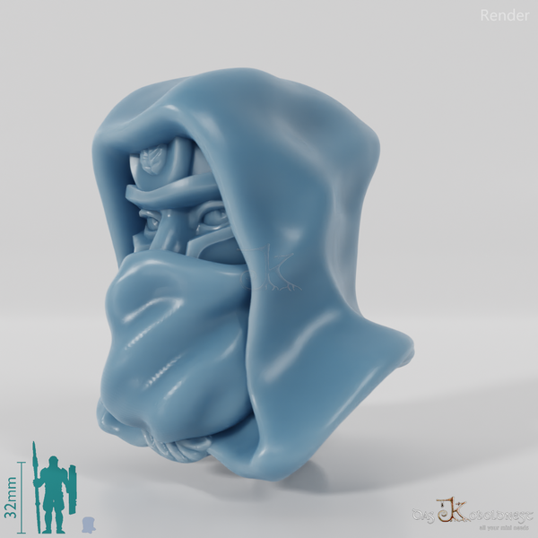 Elf Head - Male with veiled helmet