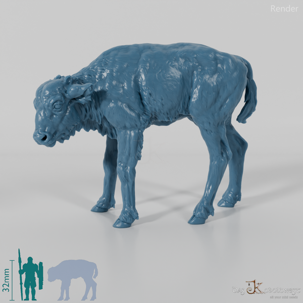 Bison - European Bison - Calf 01