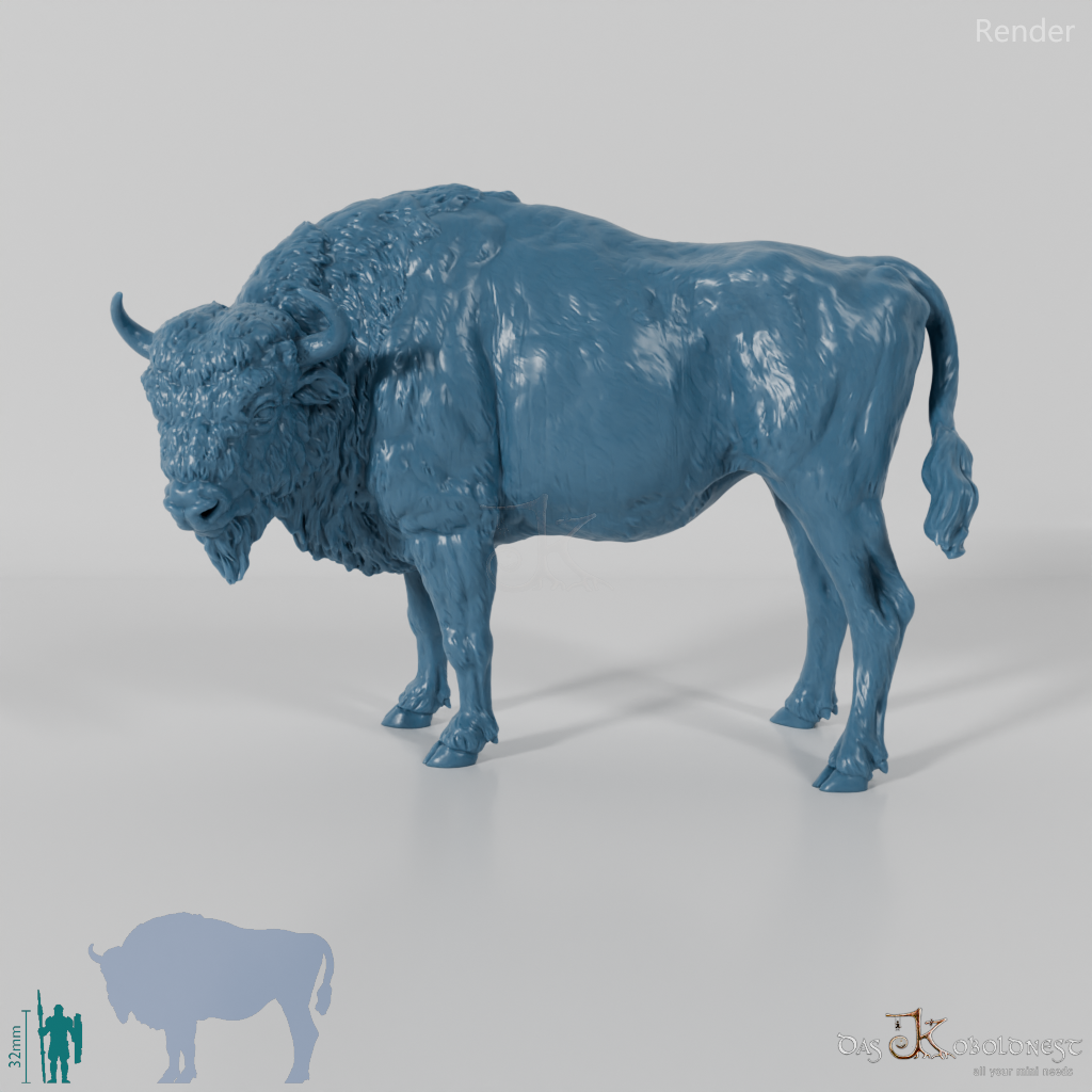 Bison - European Bison - Cow 01