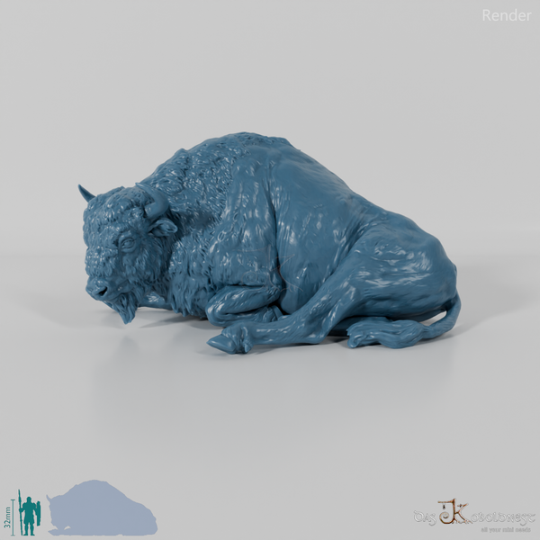 Bison - European Bison - Cow 02