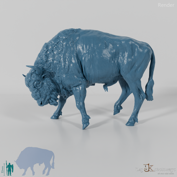 Bison - European Bison - Fighting 02