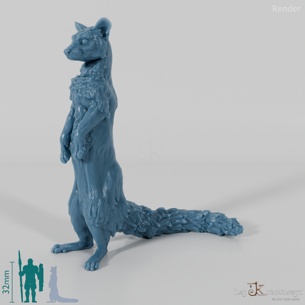 Civet cat - small-spotted genet 03