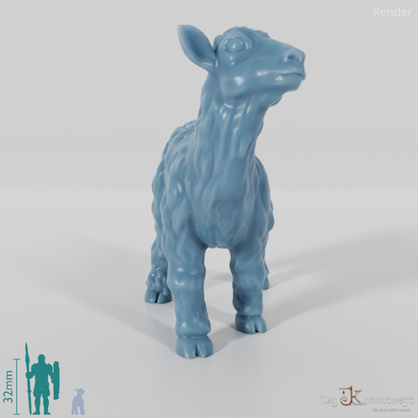 Ziege - Zottiges Zicklein