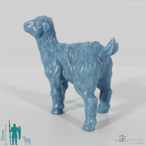 Ziege - Zottiges Zicklein