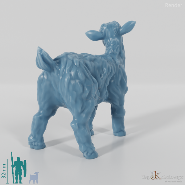 Ziege - Zottiges Zicklein