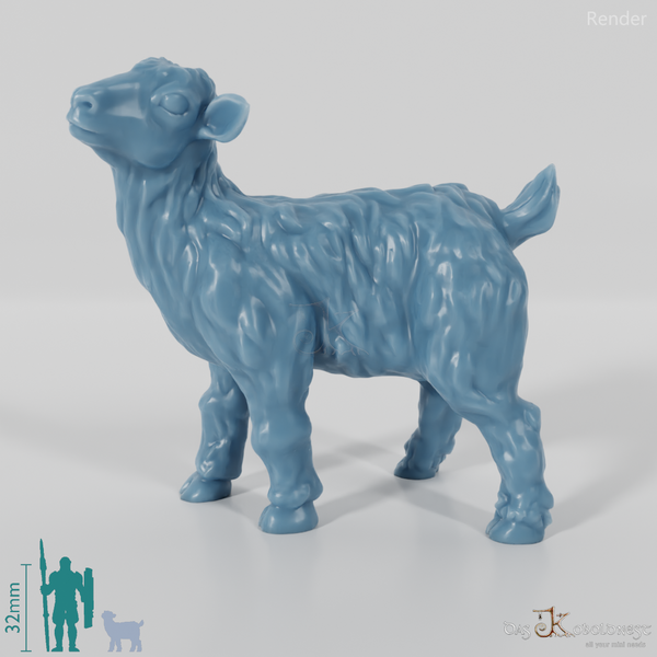 Ziege - Zottiges Zicklein