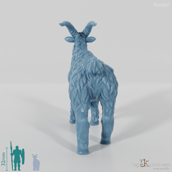 Ziege - Neugieriger Ziegenbock