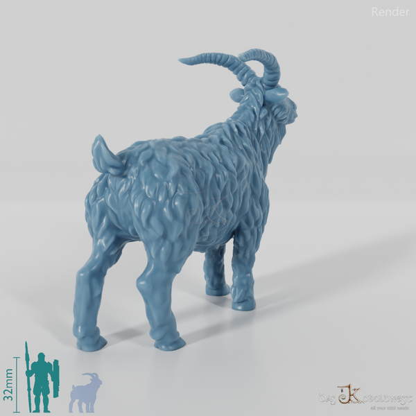 Ziege - Neugieriger Ziegenbock