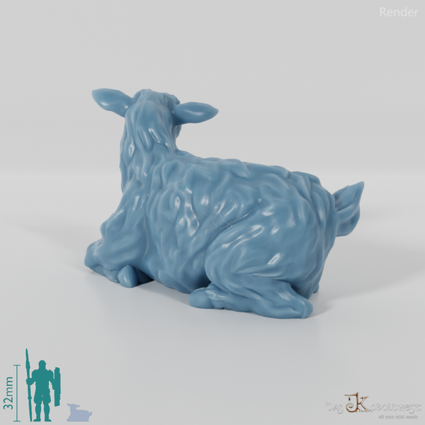 Ziege - Liegendes Zicklein