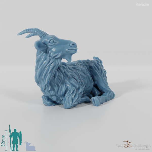 Ziege - Liegende Ziege