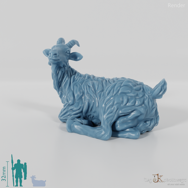 Ziege - Liegende Ziege