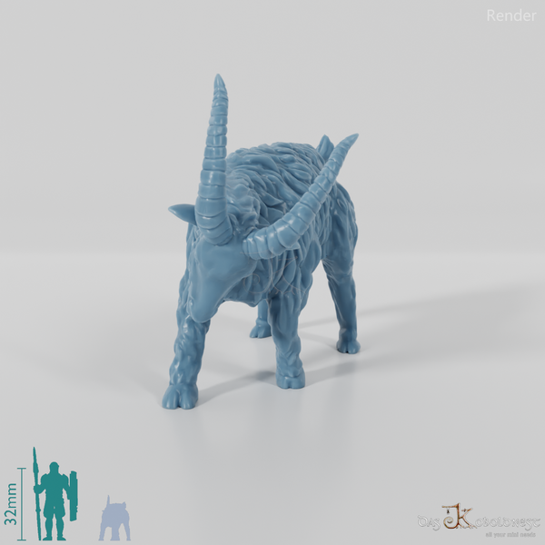 Ziege - Sturer Ziegenbock