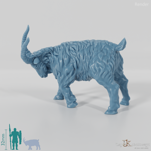 Ziege - Sturer Ziegenbock