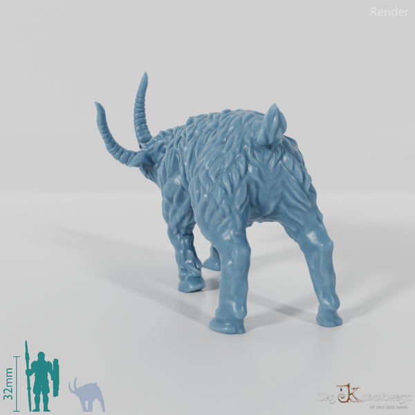 Ziege - Sturer Ziegenbock