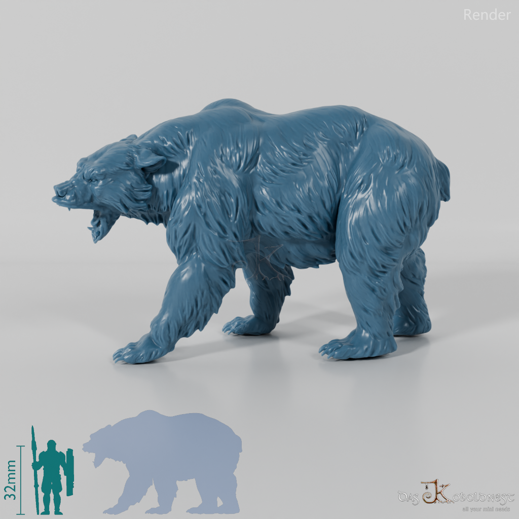 Bär - Grizzlybär 01