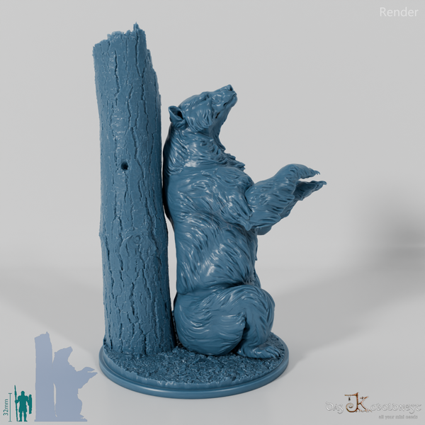 Bear - Grizzly Bear 02