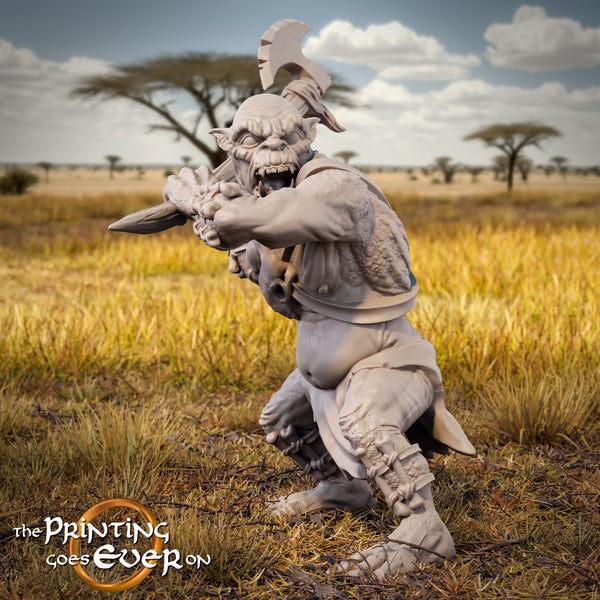 Half-troll of the Southlands C