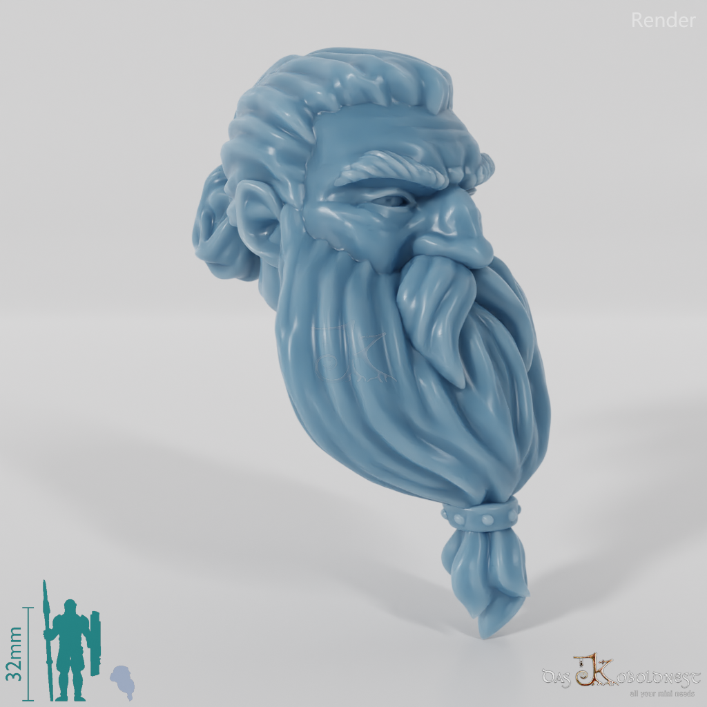 Dwarf Head - Male with long hair and long beard
