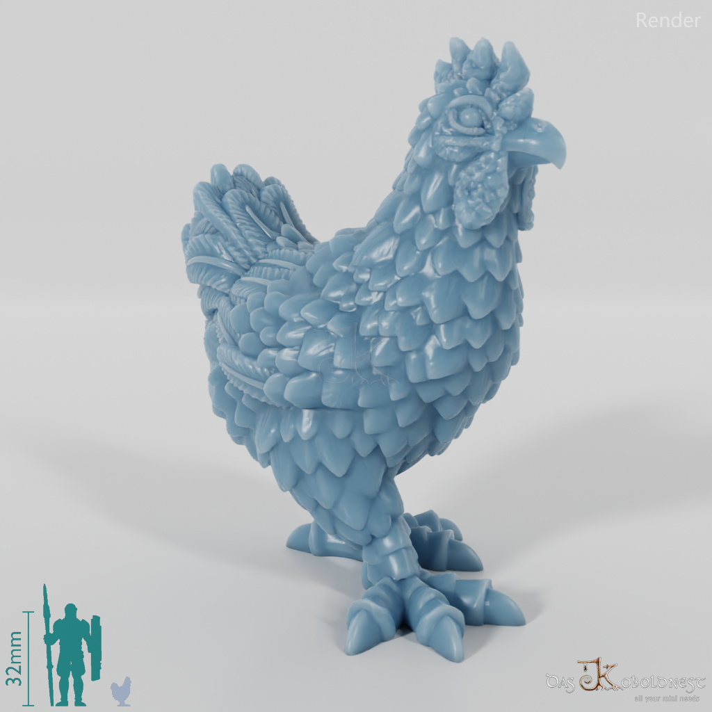 Chicken - domestic chicken 01