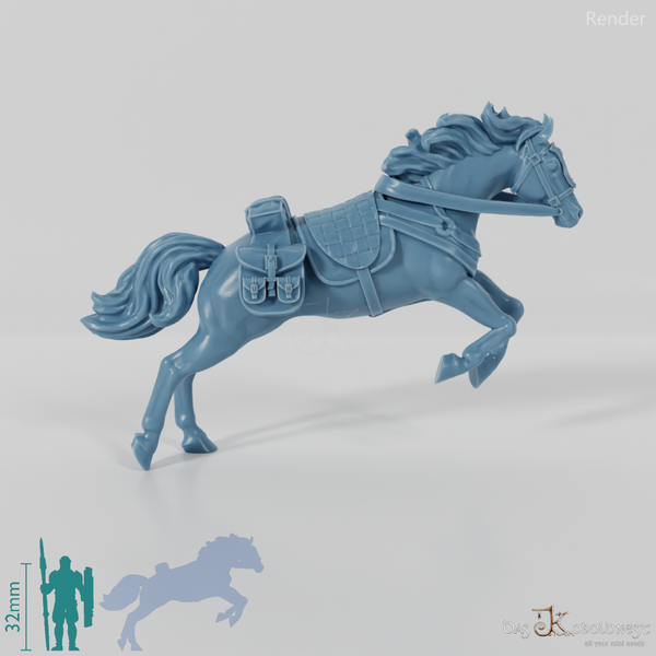 Ranger Horse - Jumping