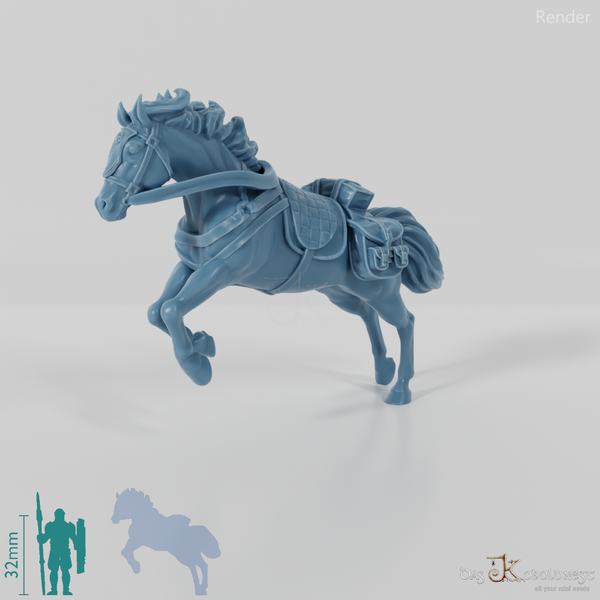 Ranger Horse - Jumping