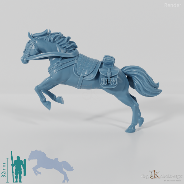 Ranger Horse - Jumping