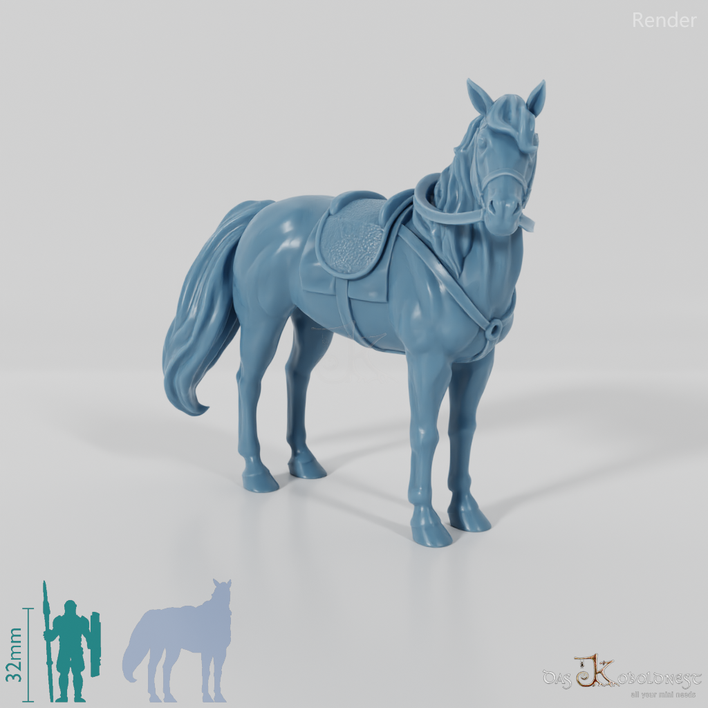 Horse of the Horse Lords - Lightly saddled