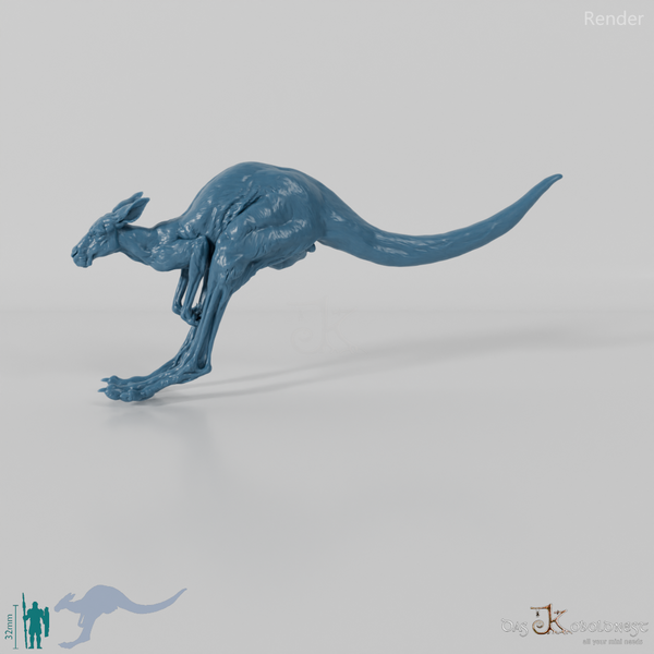 Kangaroo - Red Kangaroo - Female 01