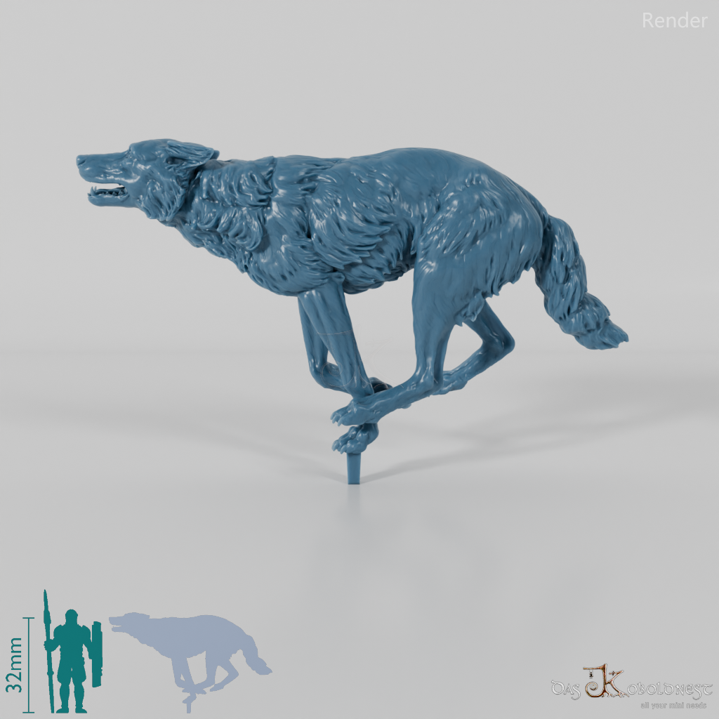 Wolf - Iberischer Wolf 03